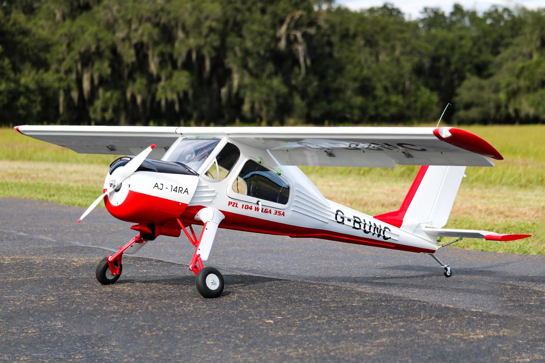 Wilga best sale rc plane