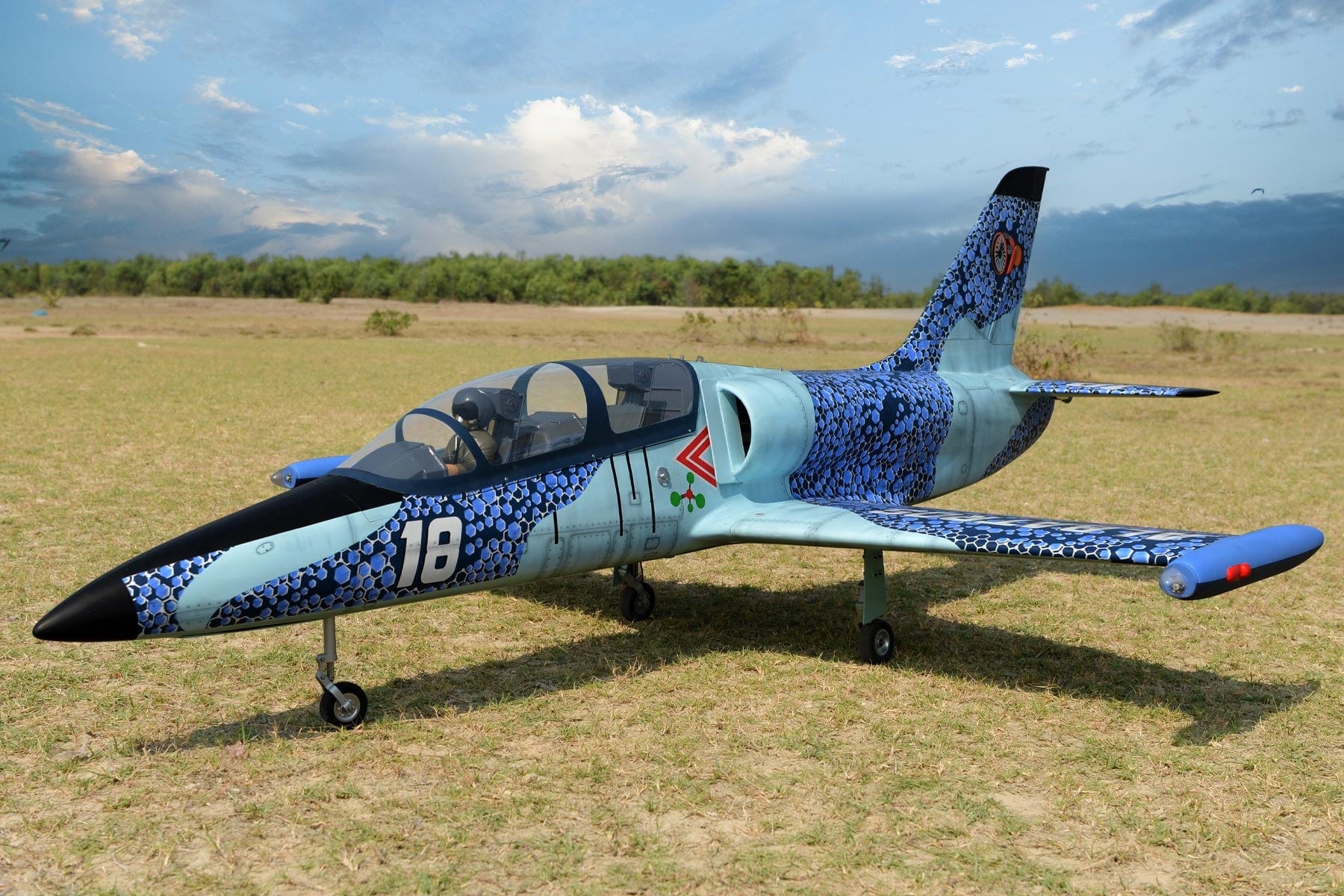 Black Horse L-39 Albatros 120N Turbine 1890mm (74.4