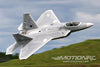 Freewing F-22 Raptor 70mm EDF Jet – ARF PLUS FJ22211AP