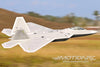 Freewing F-22 Raptor 80mm EDF Jet with Gyro - ARF PLUS FJ22311A