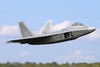 Freewing F-22 Raptor 80mm EDF Jet with Gyro - ARF PLUS FJ22311A