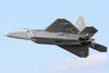 Freewing F-22 Raptor 80mm EDF Jet with Gyro - ARF PLUS FJ22311A