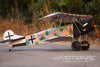 Nexa Fokker DVII Black-White 1730mm (68.1") Wingspan - ARF NXA1070-002