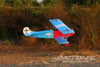 Nexa Fokker DVII Red-Blue 1730mm (68.1'') Wingspan - ARF NXA1070-001