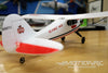 Skynetic Cub 505mm (19.8") Wingspan - RTF - (OPEN BOX) SKY1049-001(OB)